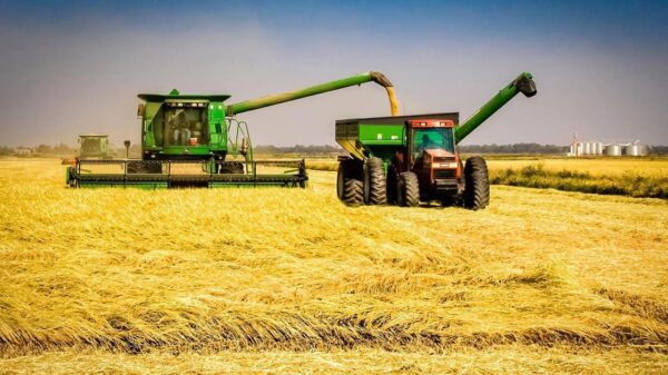 Importação de arroz por Moçambique disparou para 340 ME em 2024