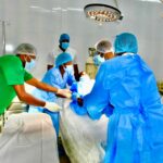 Ordem dos Médicos de Angola recomenda mais humanização no atendimento aos pacientes