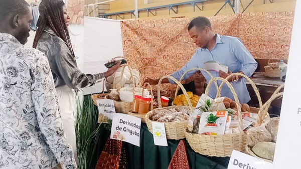 Agro-negócio fortalece famílias e promove crescimento económico