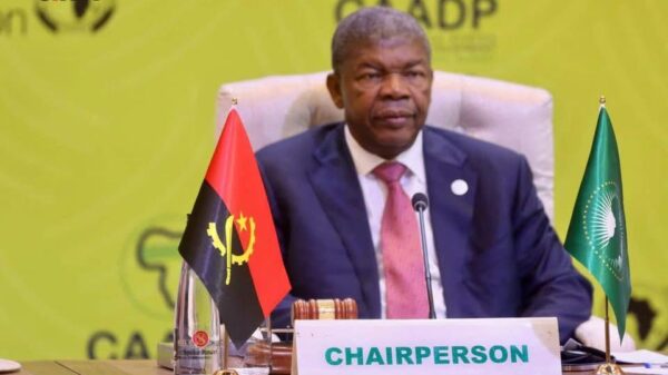 PR moçambicano espera “grande liderança” de Angola na UA