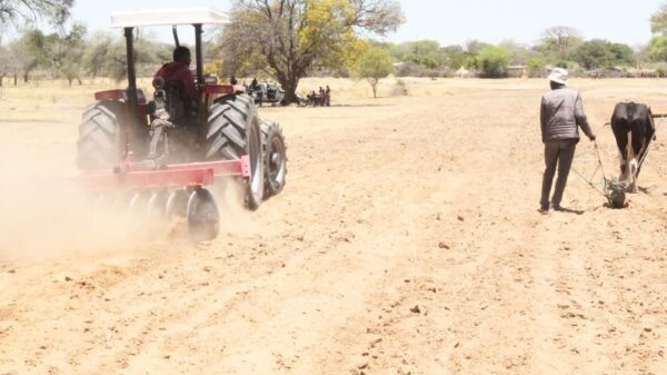 Especialista valoriza posse de terra nos ganhos da Independência