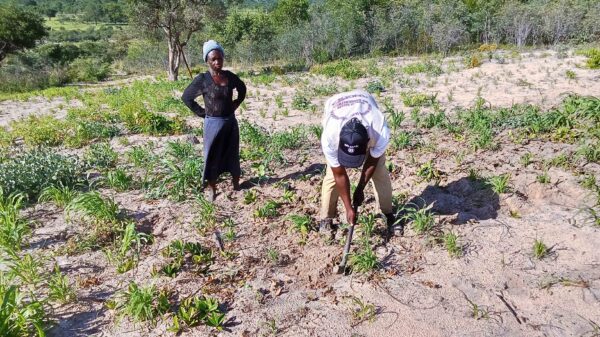 Ministro apela à prática da agricultura para mitigar a pobreza