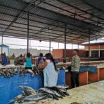 Governo de Luanda encerra principal mercado de peixe devido a riscos de cólera