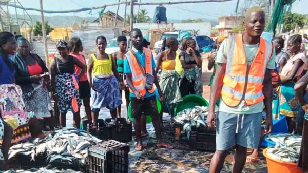 Pesca artesanal regista baixos níveis de captura no Uíge