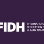 FIDH pede investigação "independente e imparcial" a violência pós-eleitoral em Moçambique