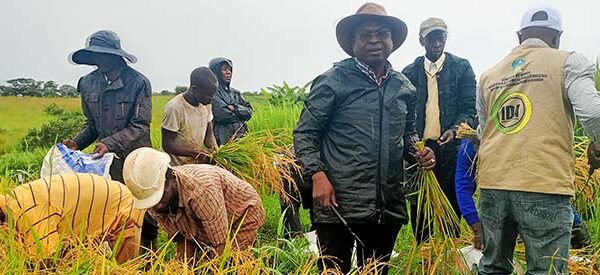 Especialista defende melhoria das políticas agrícolas no país