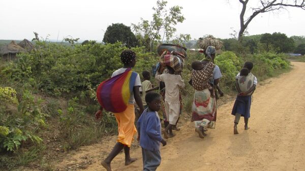 A Agência da ONU para os Refugiados (ACNUR) prevê que até ao final do ano cerca de metade das deslocações forçadas em todo o mundo ocorram em África, com grandes crises humanitárias a contribuírem para esta realidade.