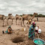 ONU precisa de 196 ME para resposta humanitária em Moçambique