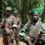 FAC acusam Angola de abater dois civis em território congolês