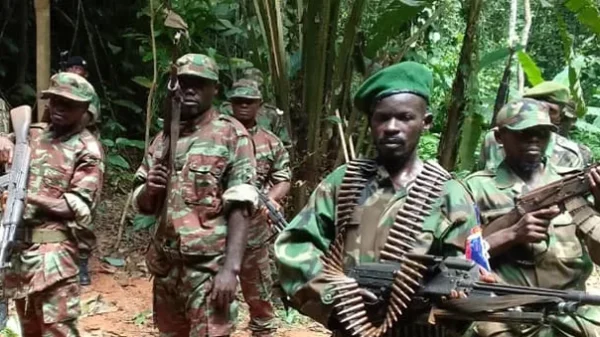 FAC acusam Angola de abater dois civis em território congolês