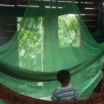 Nova abordagem ao controlo da malária abre a porta a mosquiteiros mais eficazes