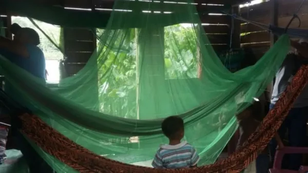 Nova abordagem ao controlo da malária abre a porta a mosquiteiros mais eficazes