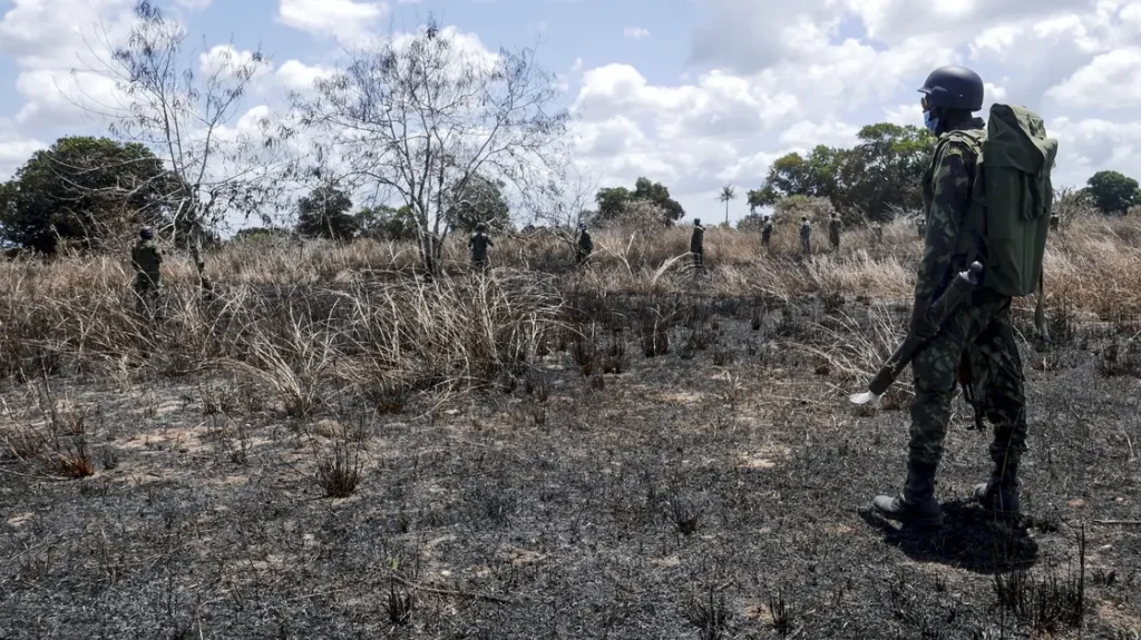 Agricultores fogem dos campos com medo de terroristas no norte de Moçambique.