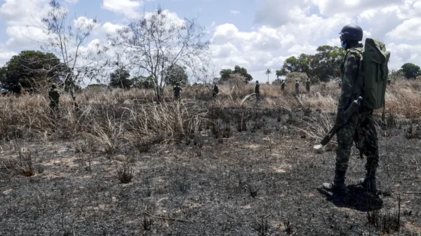 Agricultores fogem dos campos com medo de terroristas no norte de Moçambique.
