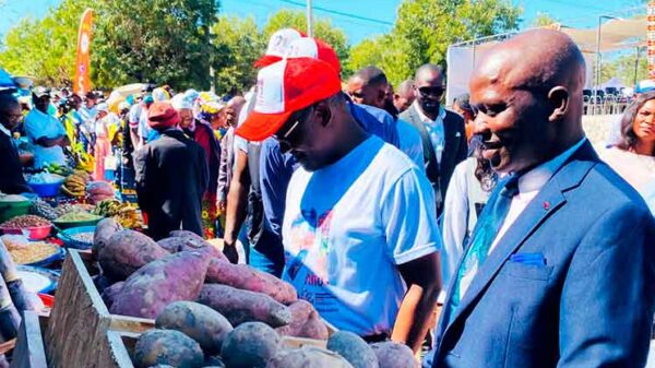 Agricultores expõem produção agro-pecuária na feira dos 91 anos de Caconda