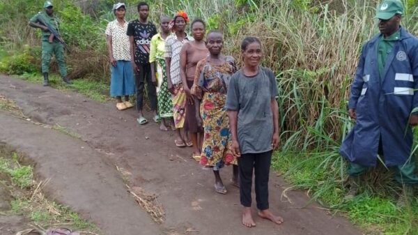 Detidos em Cabinda 80 indivíduos por violação de fronteira
