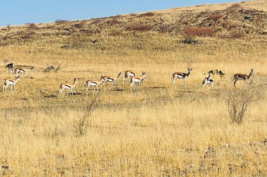 Empresários filipinos interessados em investir no turismo em Angola