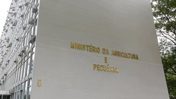 Proposta de cooperação agrícola prevê concessão de terras aráveis em Angola ao Brasil