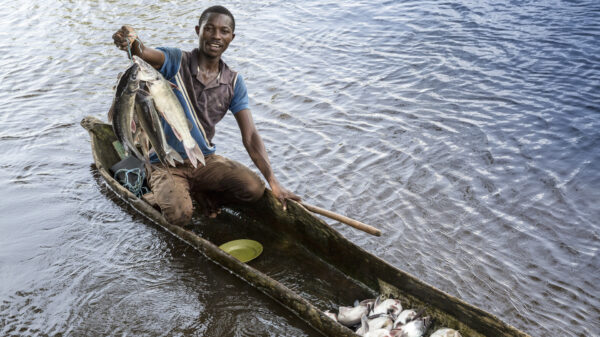 Moçambique prevê novo recorde na pesca em 2025, com expectativa de mais de 548 mil toneladas, impulsionado pela pesca artesanal.