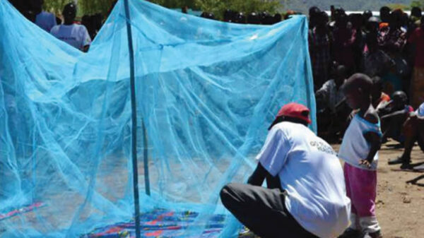 Malária em Moçambique matou 270 em mais de seis milhões de casos em cinco meses