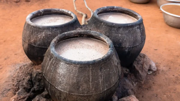 Bebida tradicional de Moçambique que provocou 75 mortos continua “cultural” no interior